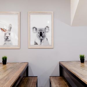 Mad Monkey Broadway (Adults Only)